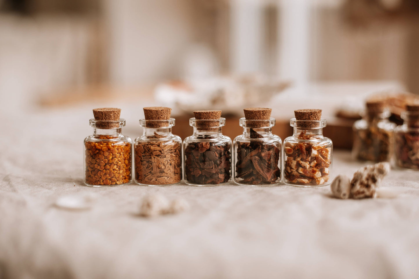 Star Anise - The Mini Collection