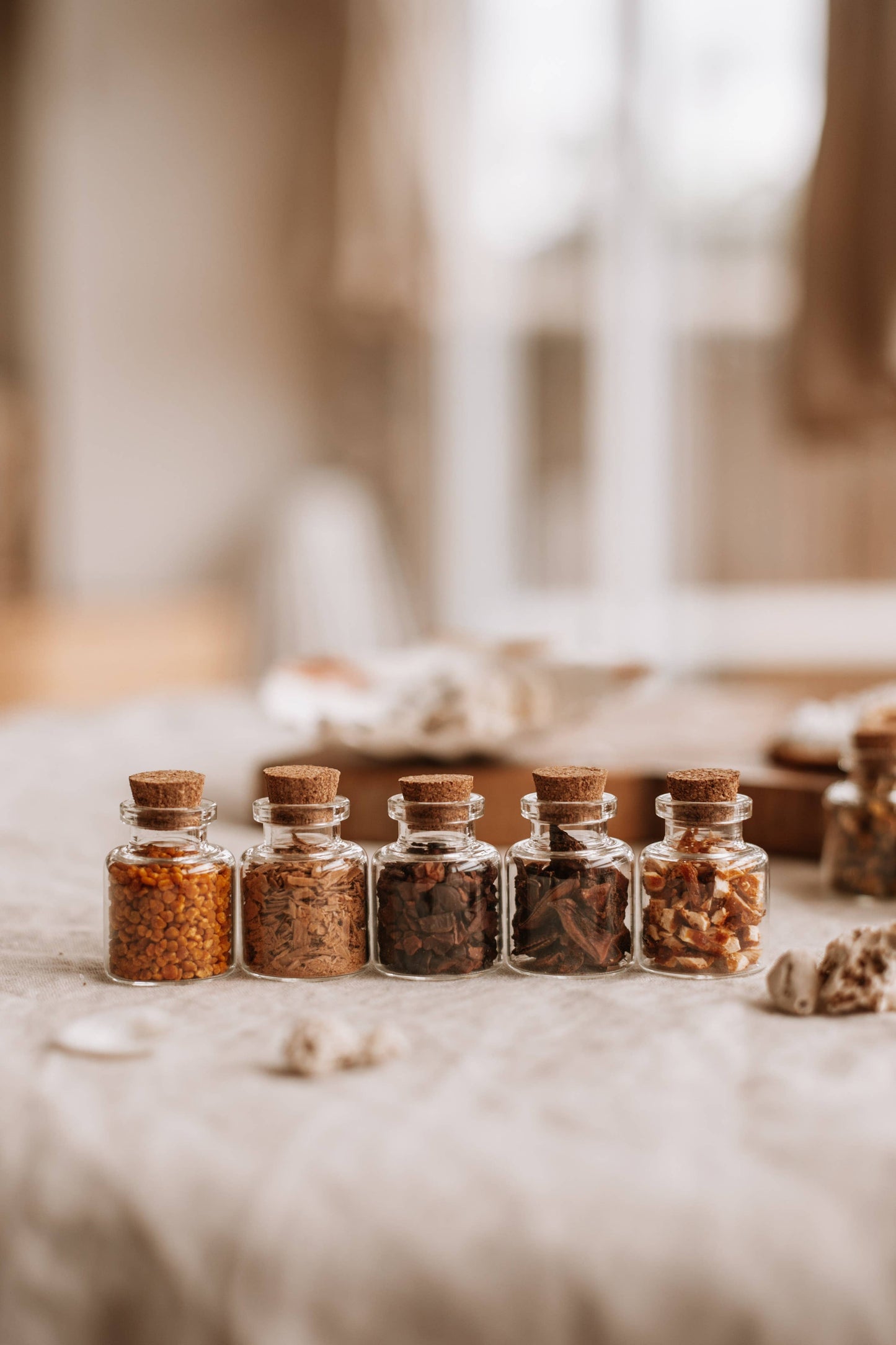 Star Anise - The Mini Collection