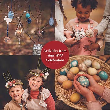 Your Wild Celebration Book (First edition)