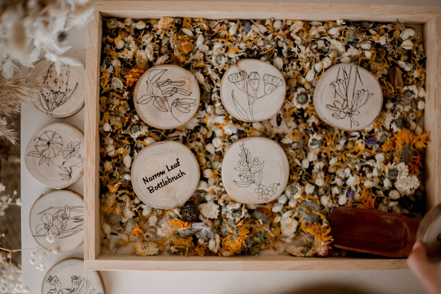 Australian Flora Set of 10