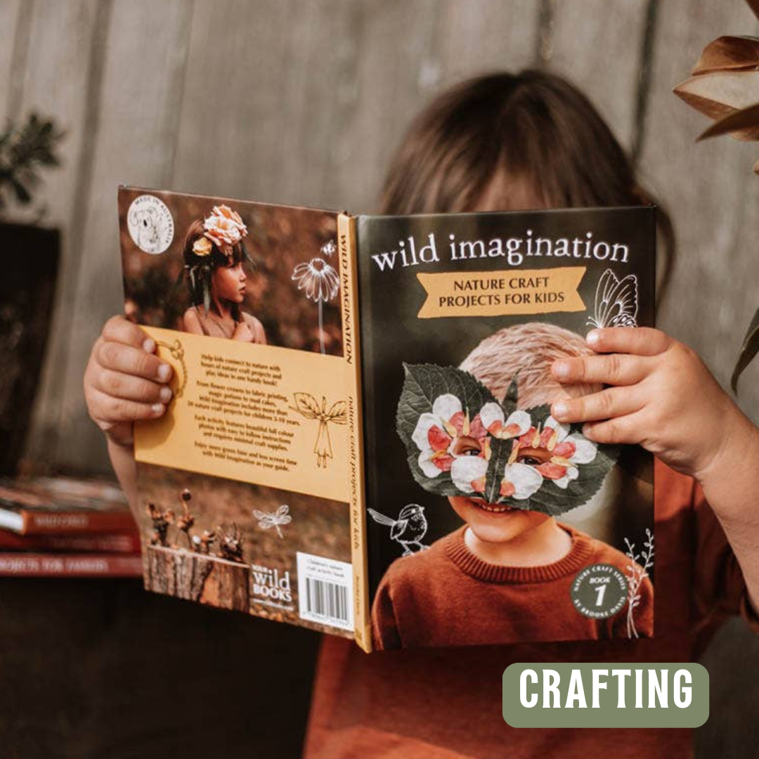 Wild Imagination Book