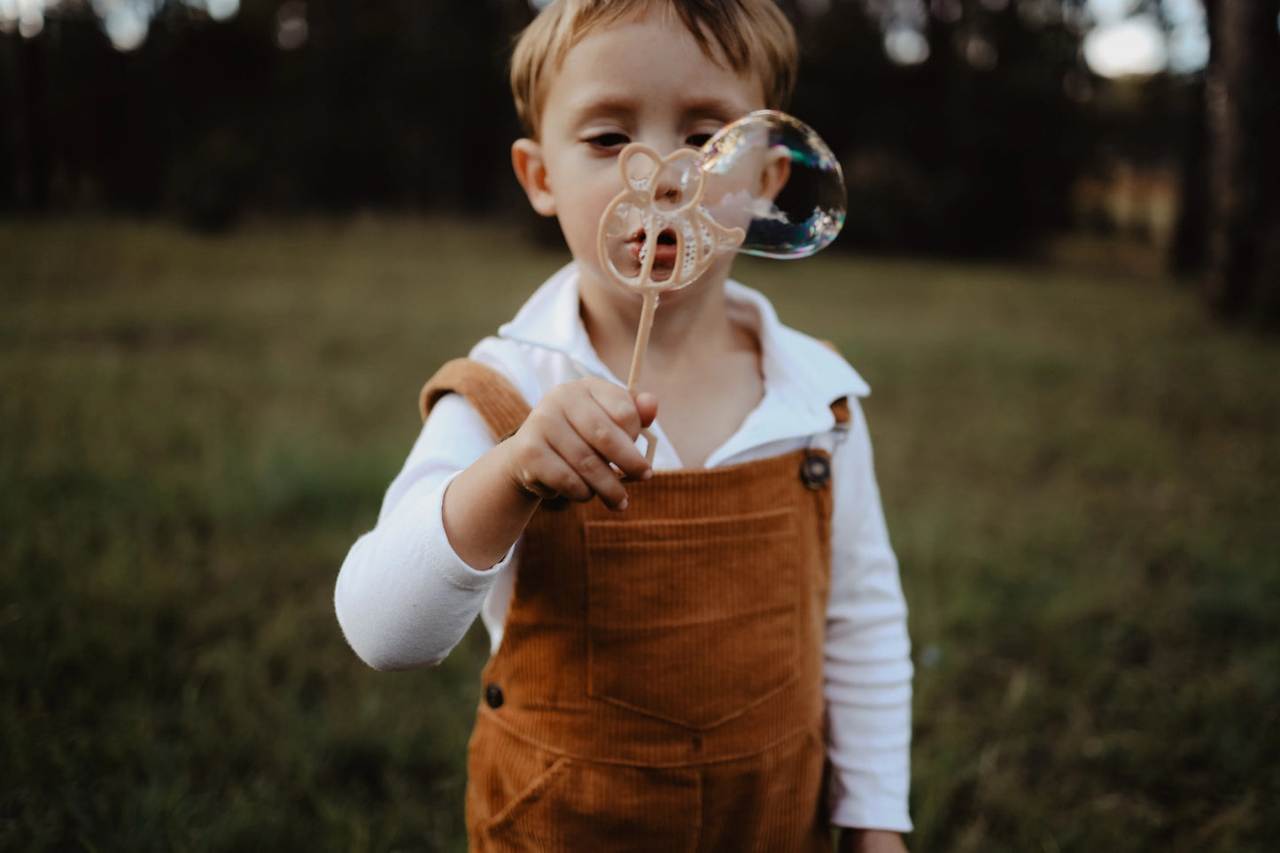 Eco Bubble Wand - various