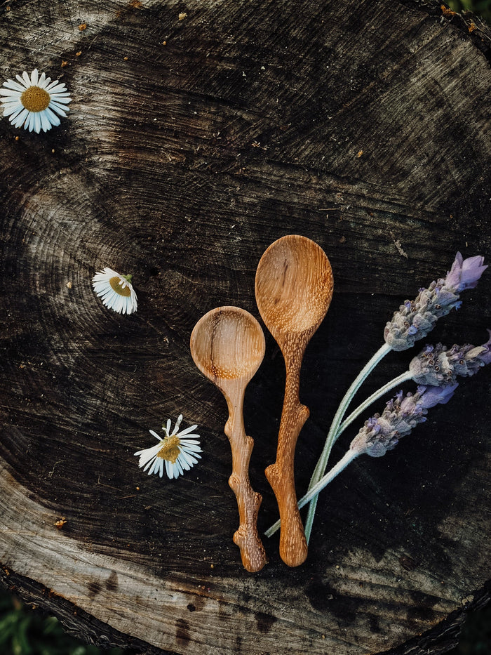Twiggy (Mini Twig Spoon)