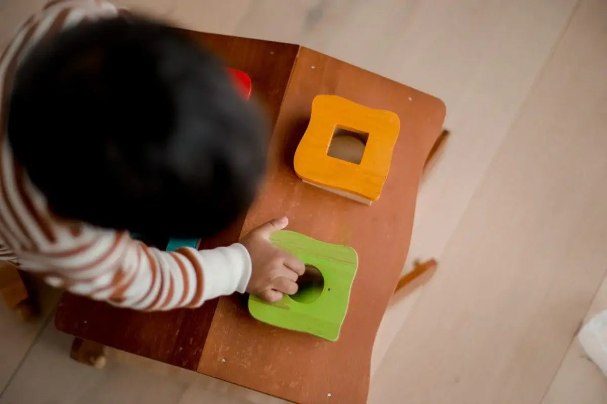 Sorting Cottage & Play House