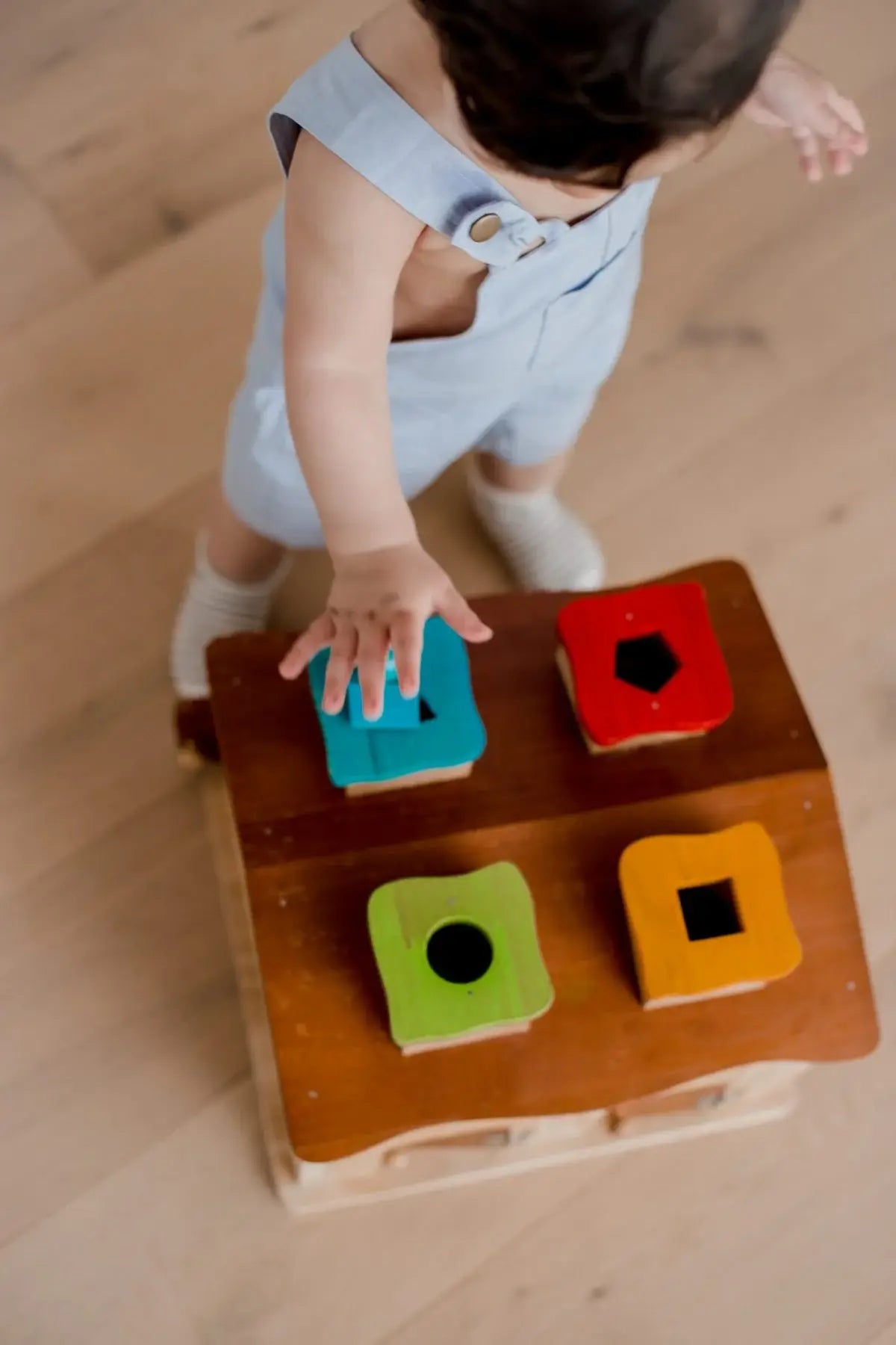 Sorting Cottage & Play House