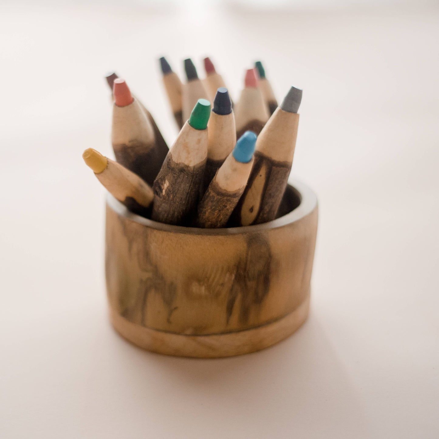 Tree Color Pencils With Holder