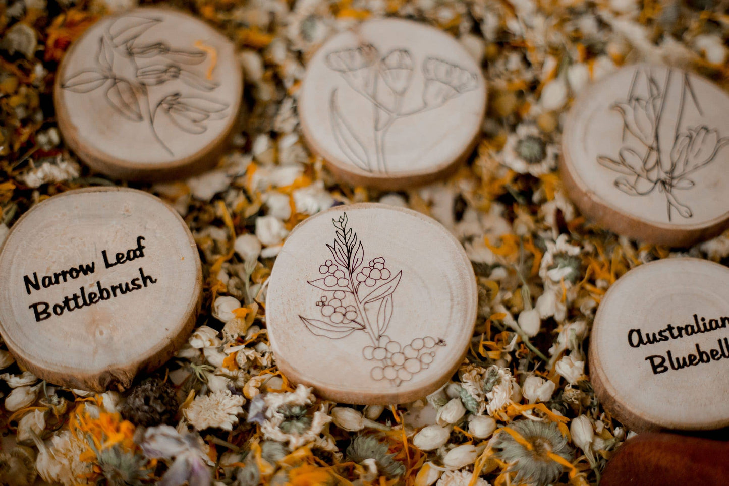 Australian Flora Set of 10