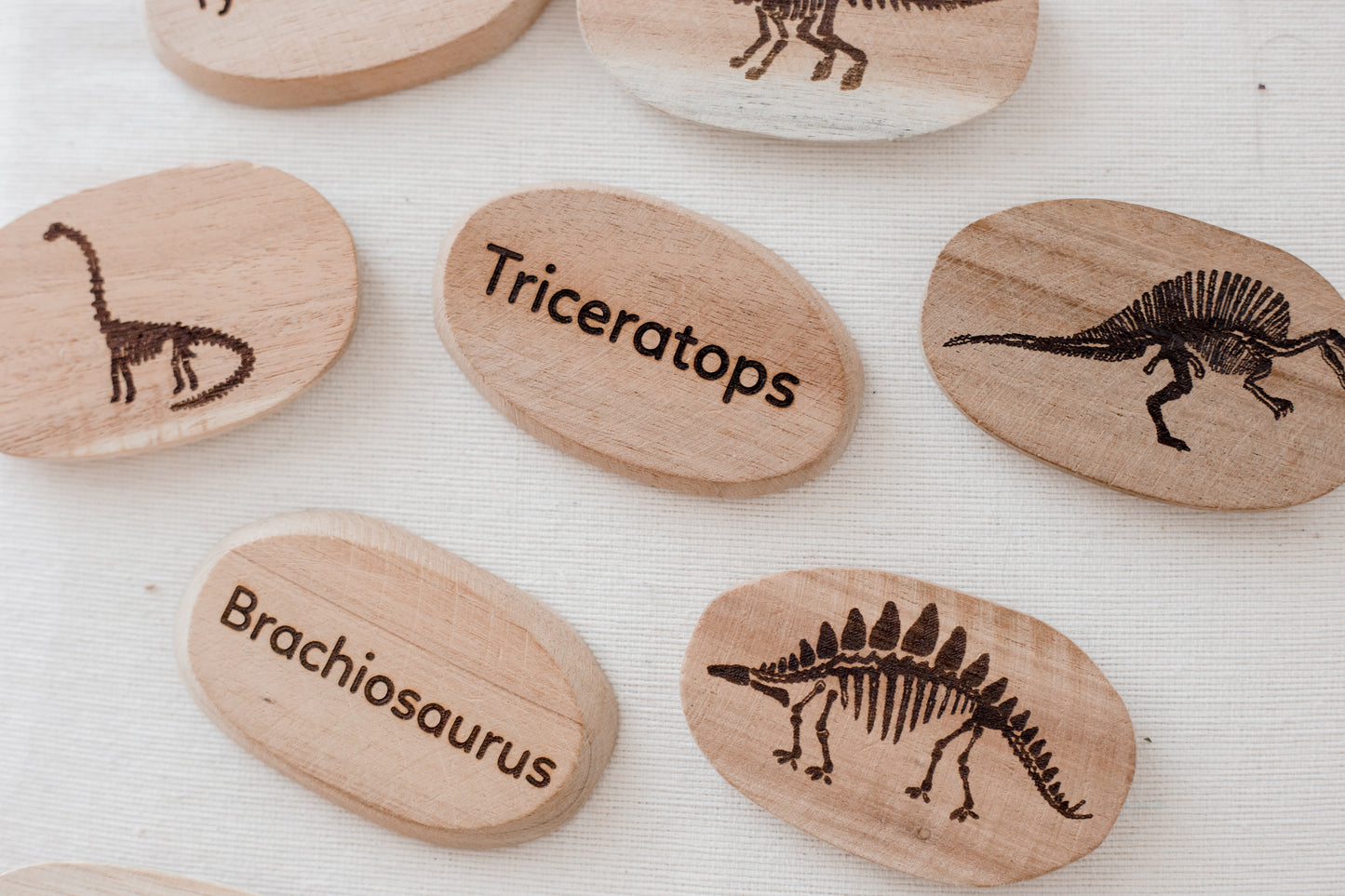 Dinosaur Stones Set of 10