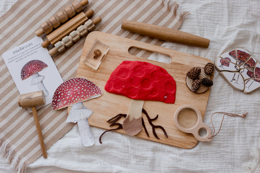 Wooden Play Dough Kit