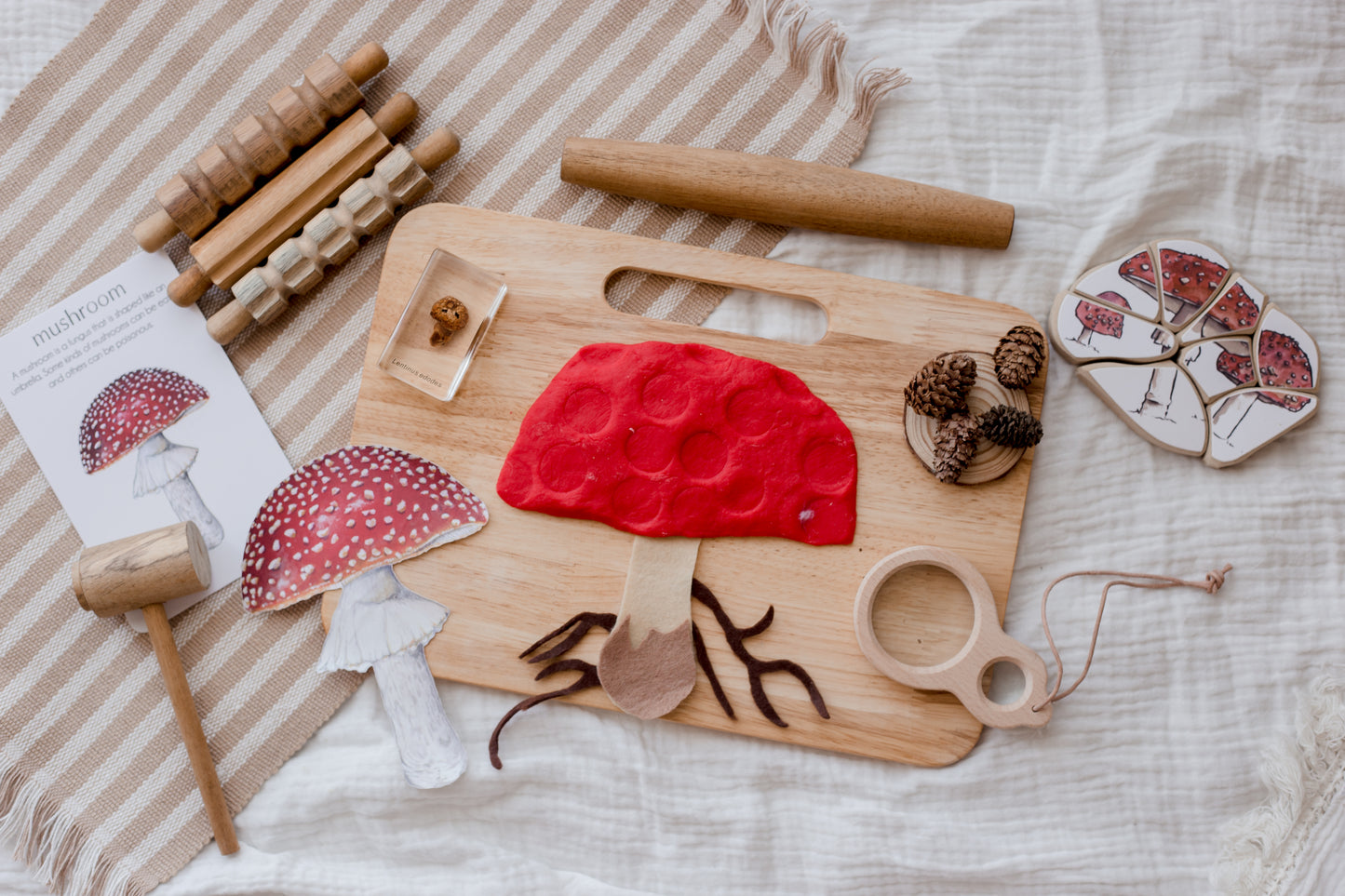Wooden Play Dough Kit
