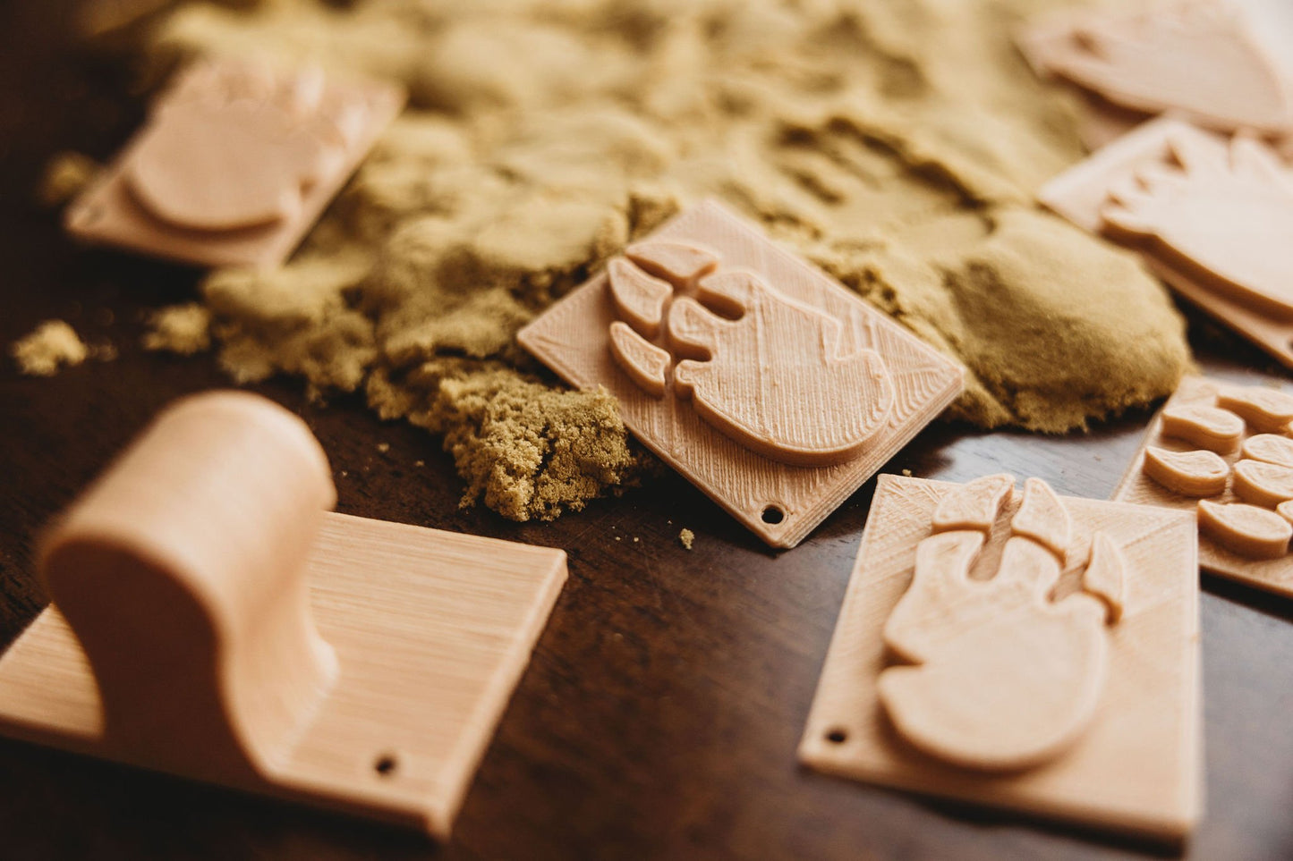 Dinosaur Foot Print Eco Cutter - Stamp Set