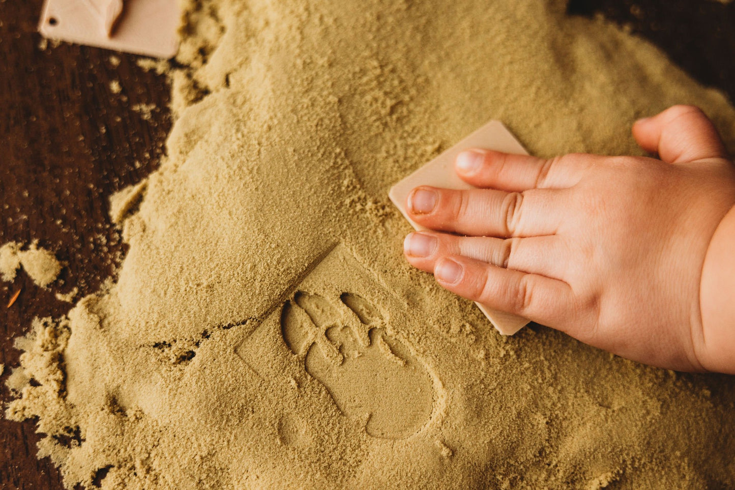 Dinosaur Foot Print Eco Cutter - Stamp Set