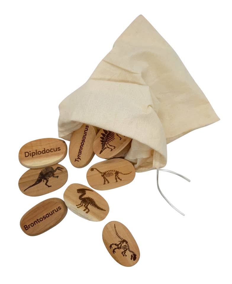 Dinosaur Stones Set of 10