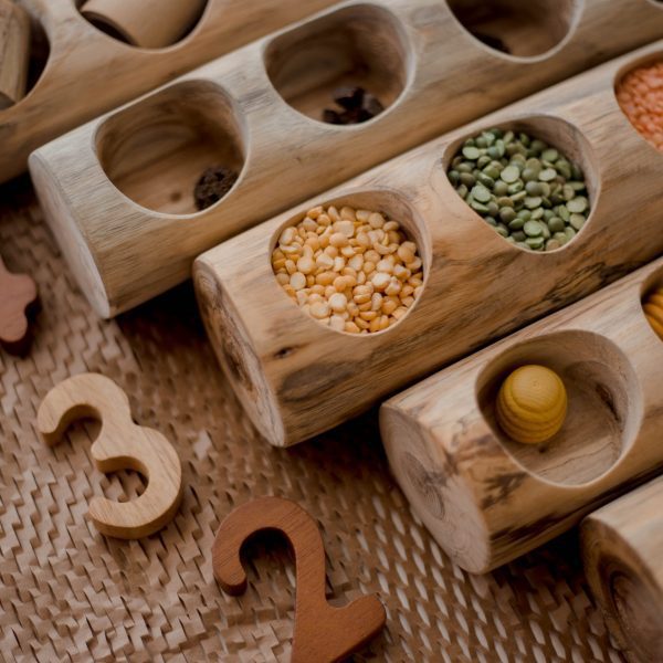Log Counting and Sorting Trays - Set of 5