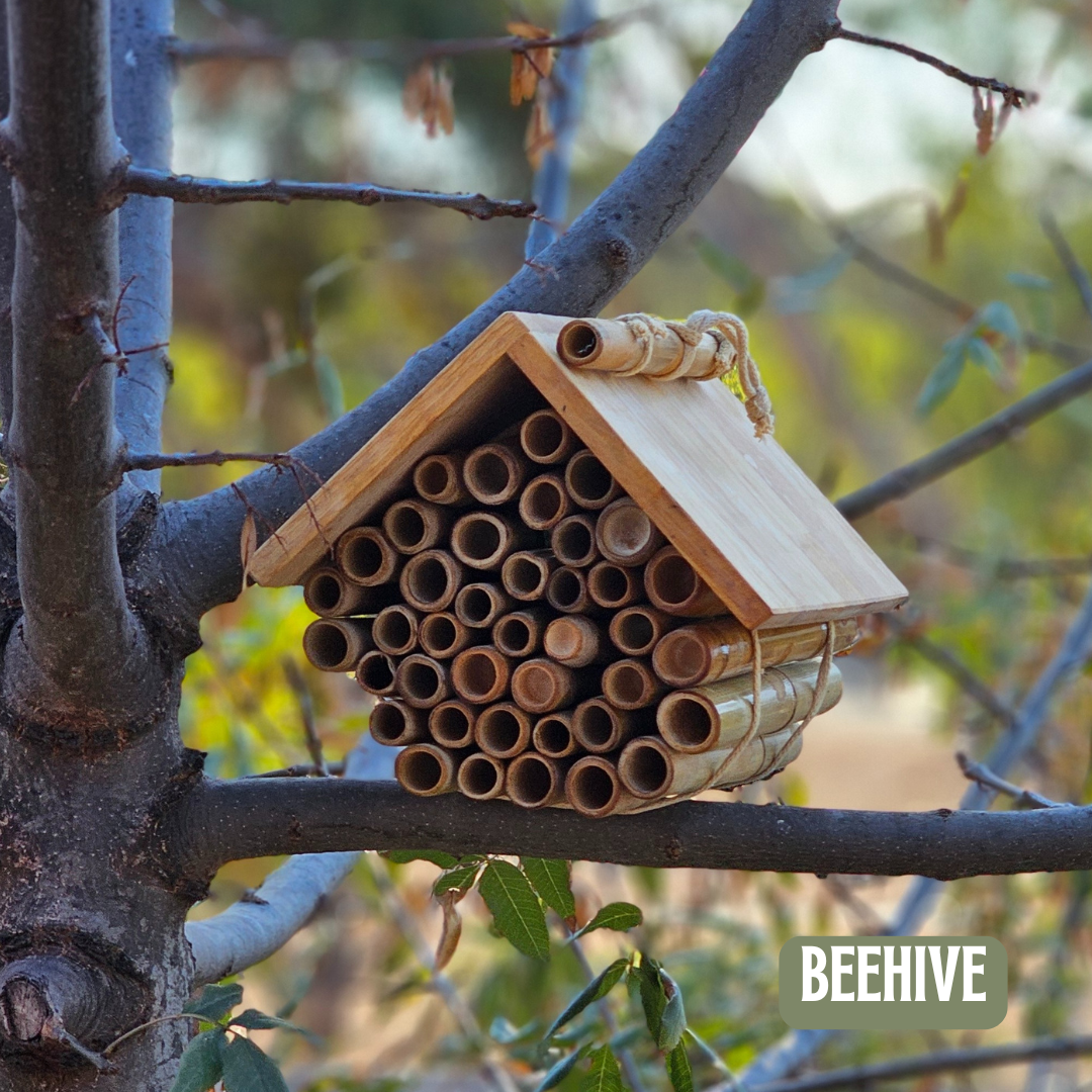 Hanging Bee House
