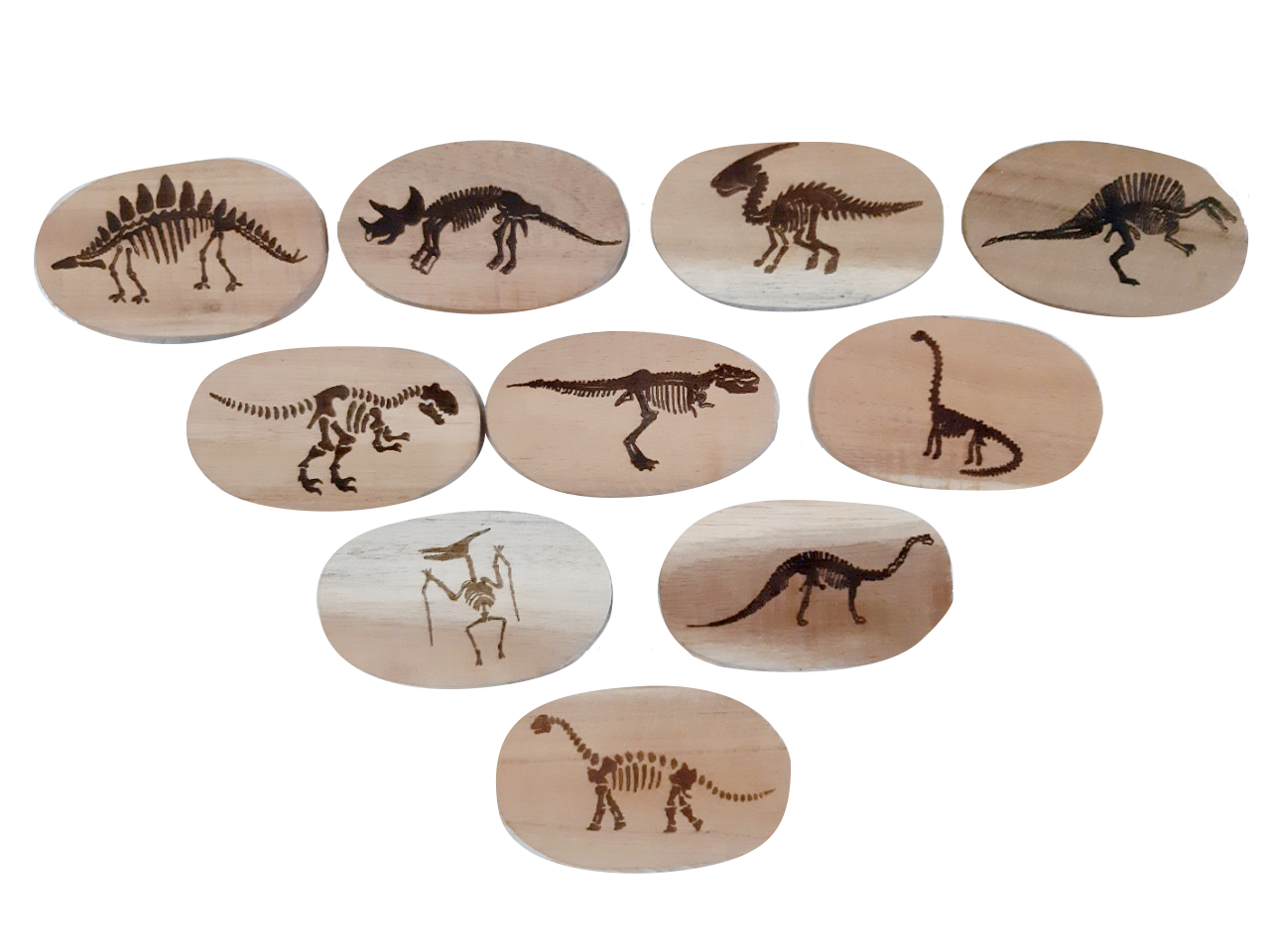 Dinosaur Stones Set of 10
