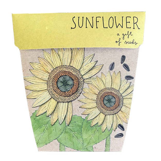 Gift of Seeds 7 different options  (Australia Only)