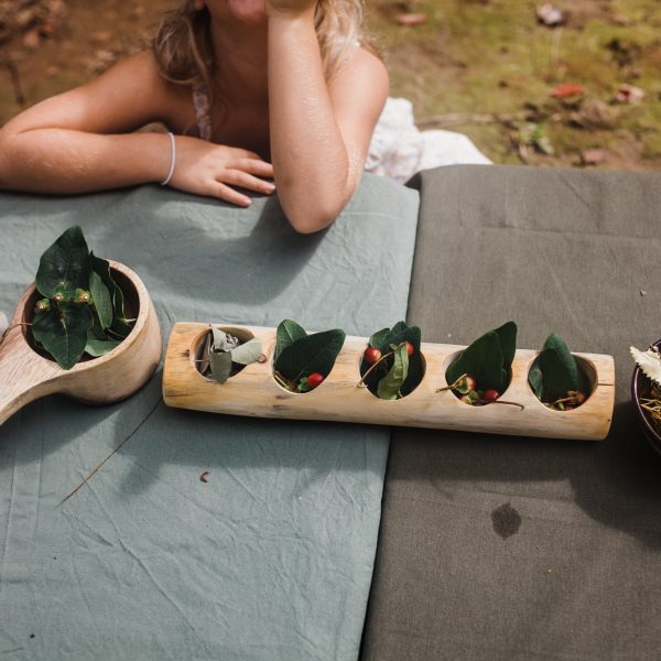 Log Counting and Sorting Trays - Set of 5