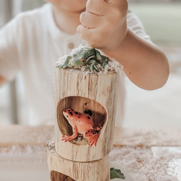 Log Counting and Sorting Trays - Set of 5