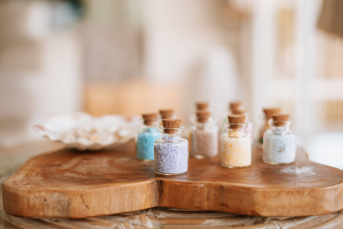 Saltwater Fizz Urchin  - The Mini Collection