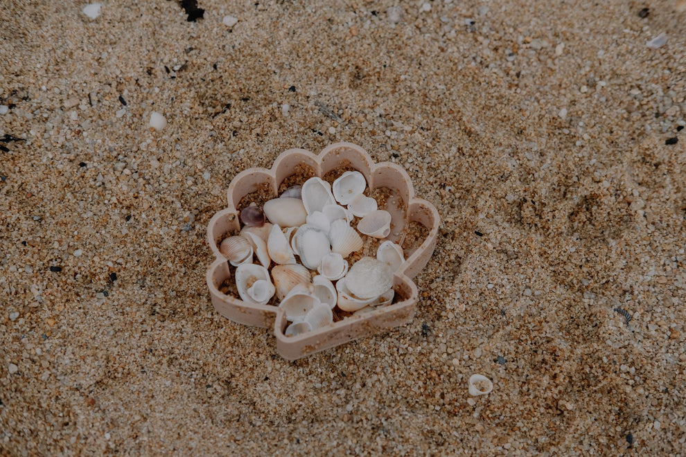 Sea Shell Eco Mould – Little Barefoot Wanderers