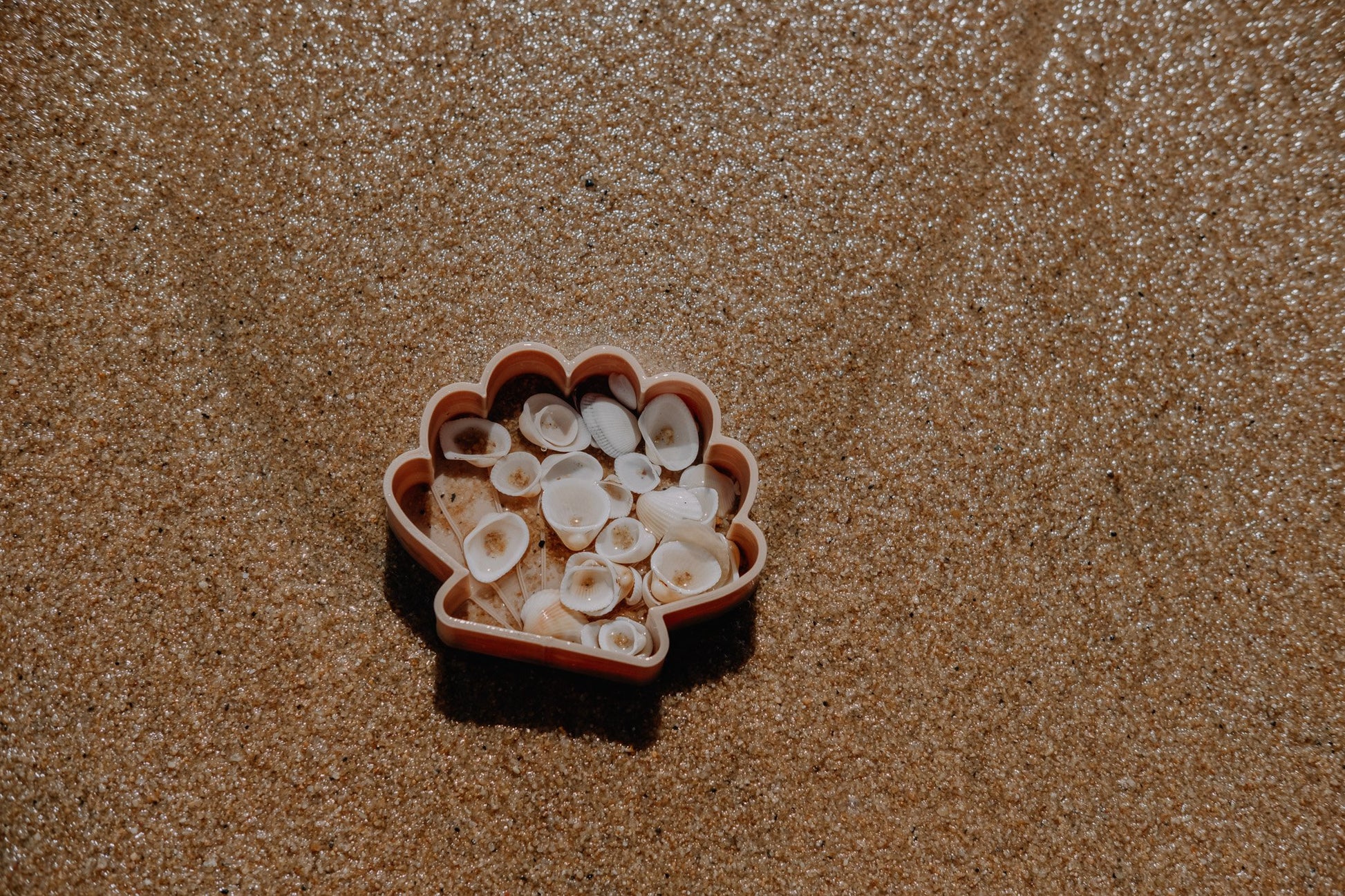 Sea Shell Eco Mould – Little Barefoot Wanderers
