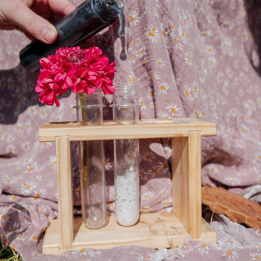 Test Tube & Rack