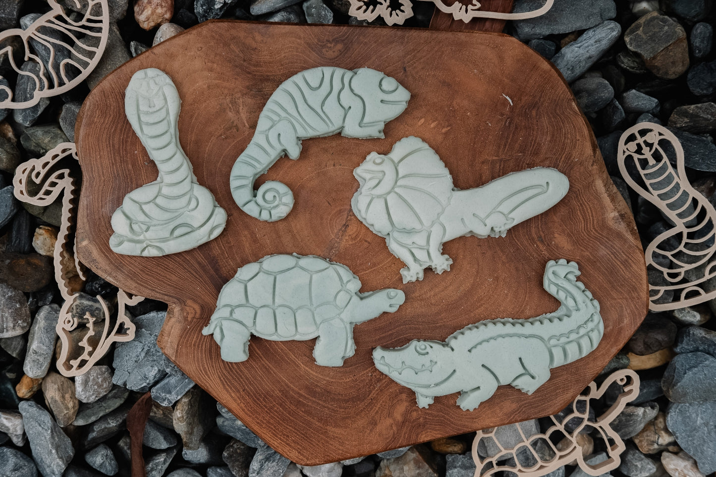 Crocodile - Eco Cutter