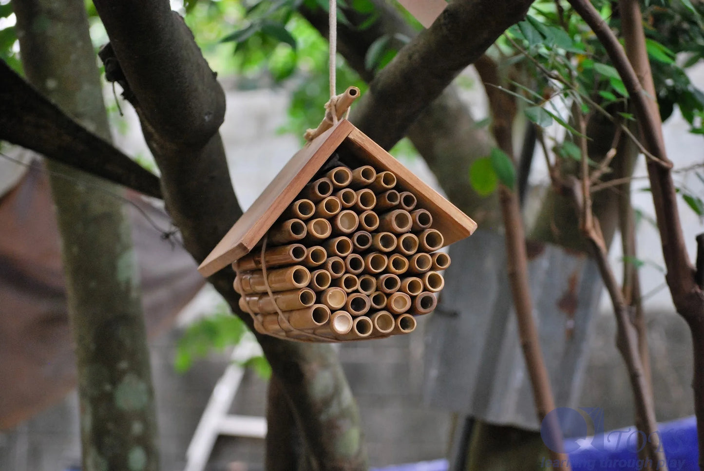 Hanging Bee House