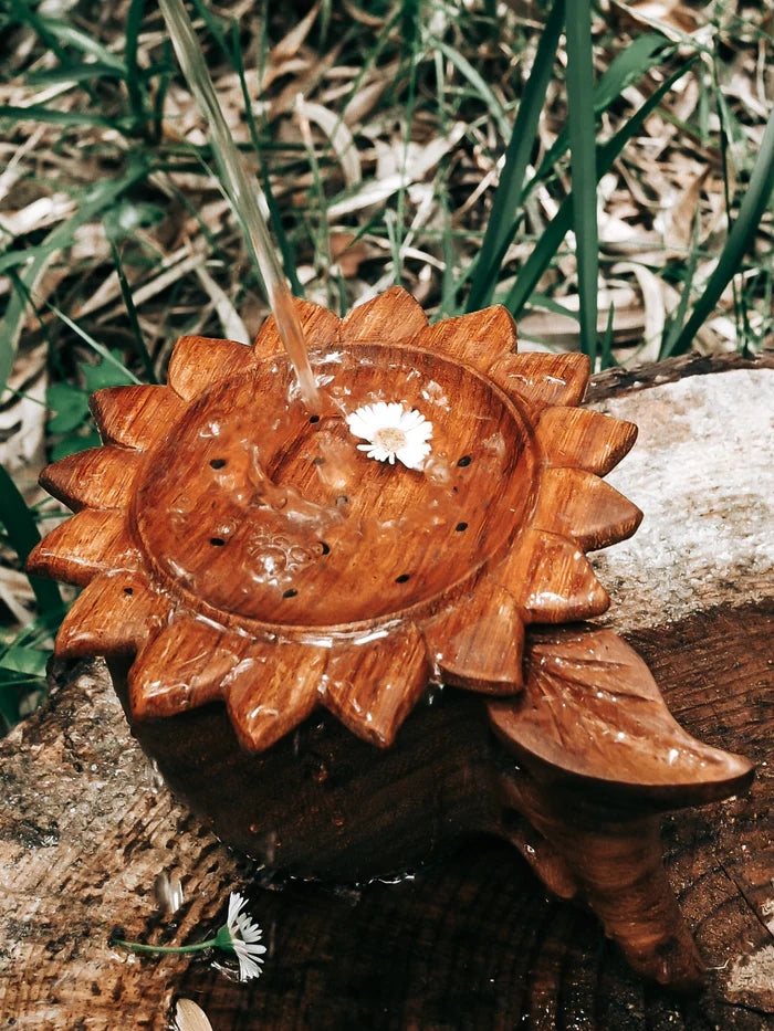 SUN STRAINER