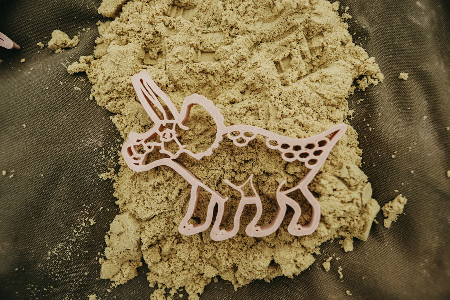 Triceratops Dino - Eco Cutter