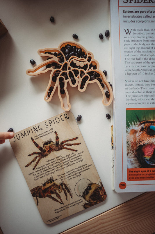 Jumping Spider - Eco Cutter