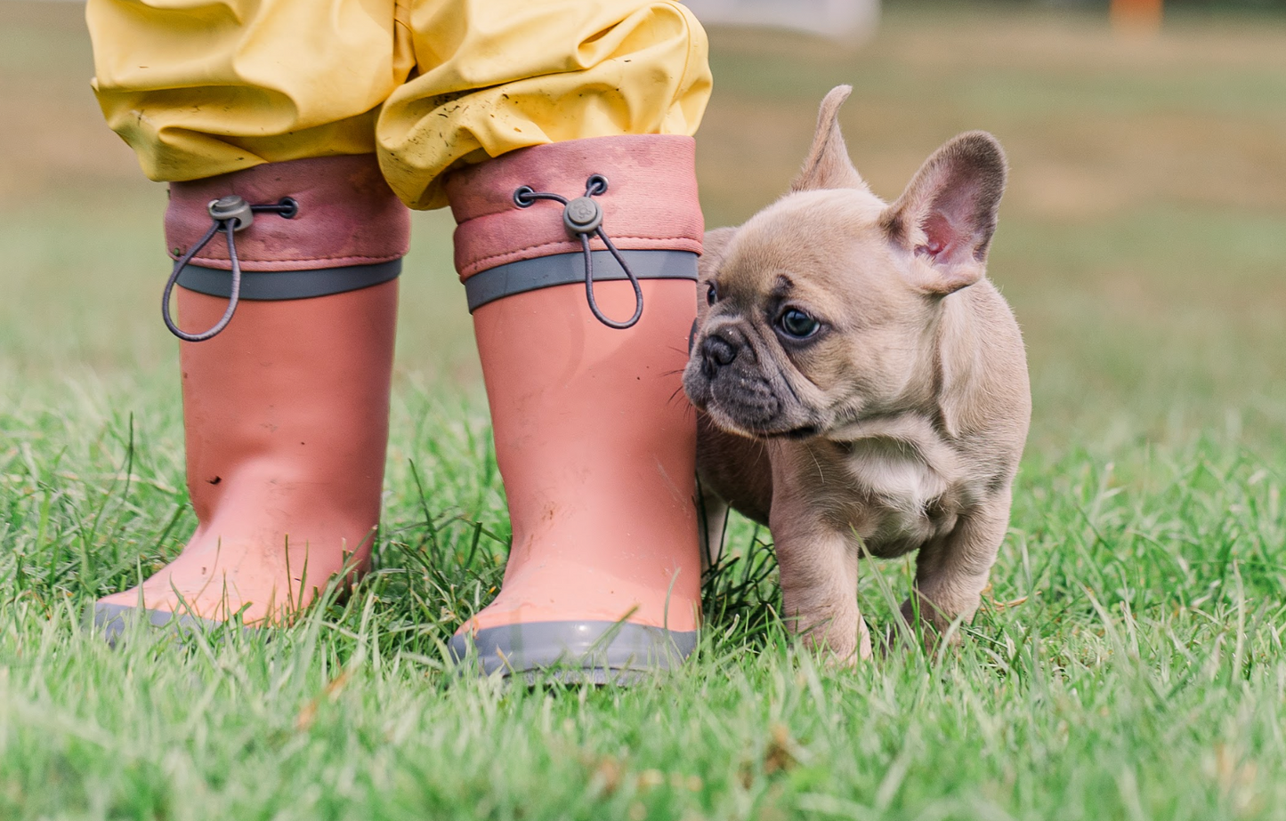 Gumboots - Just Peachy