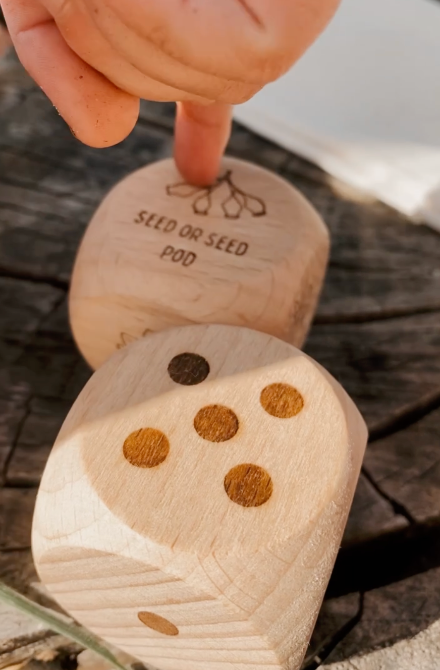 Nature Dice
