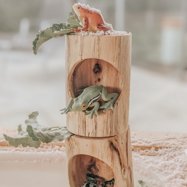 Log Counting and Sorting Trays - Set of 5