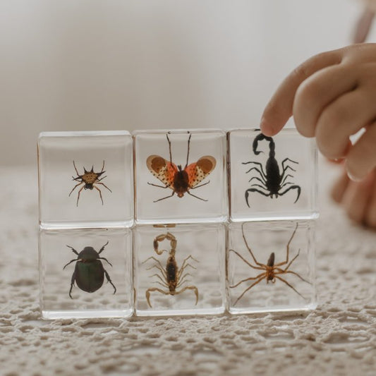 Creepy Crawlers Specimen Set