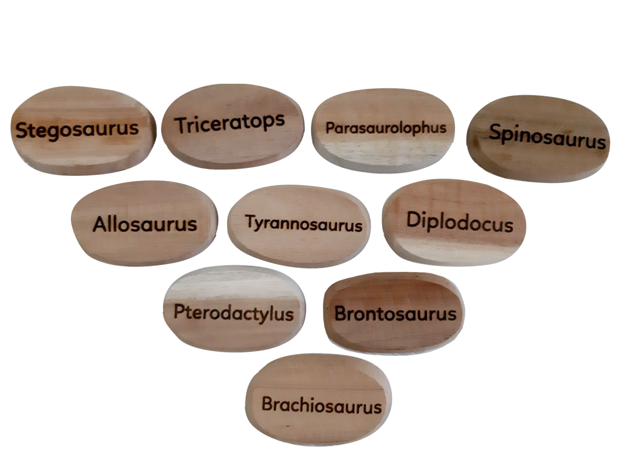 Dinosaur Stones Set of 10