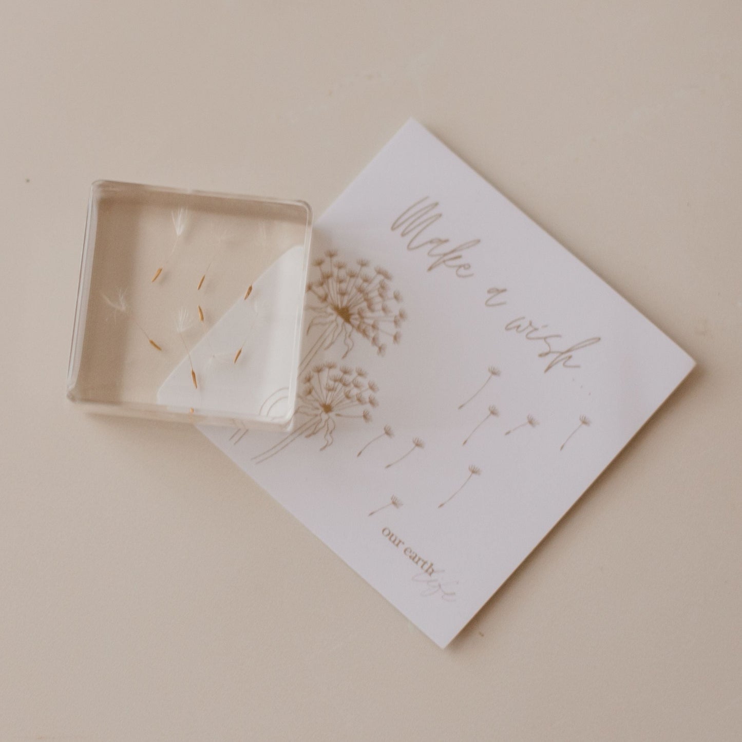 Dandelion Wishes