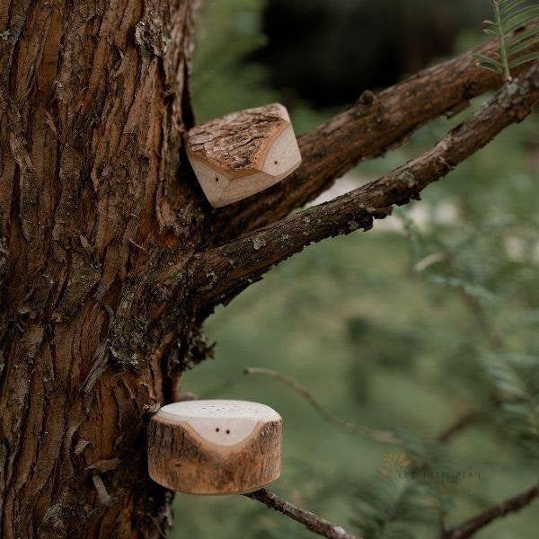The Tree Creatures