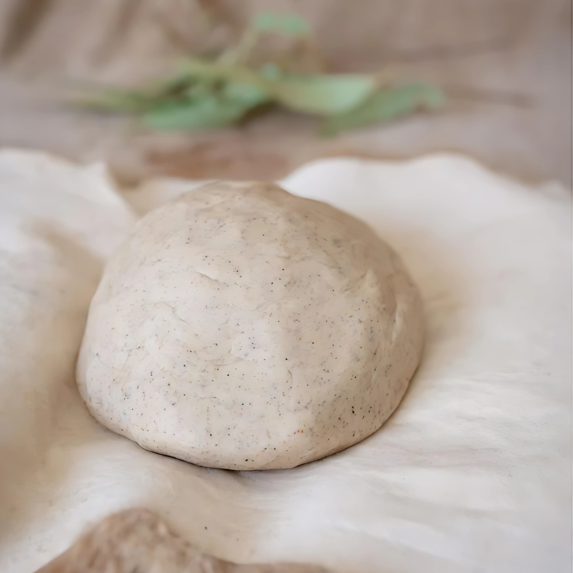 Wattleseed Playdough Mix